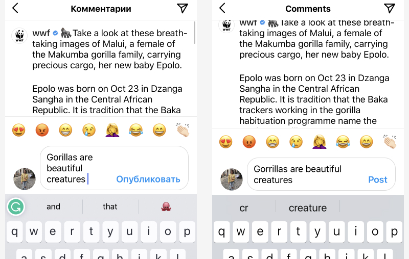 Instagram interface on iPhone